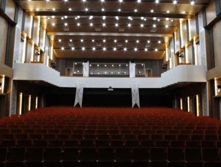 Özel Tasarım Konferans ve Tiyatro Salonu
